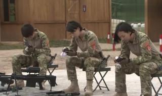 特种兵之火凤凰天狼