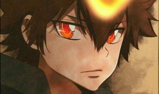 沢田纲吉和谁结婚了 十年后的沢田纲吉