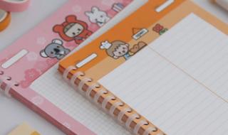 手帐玩具都要用哪些 手帐便签十大用法