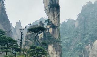 三清山蟒蛇峰标高是多少米 三清山巨蟒峰损毁案