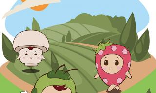 厦门哪家设计公司好 厦门平面设计