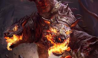 什么叫做地狱犬 地狱犬已在9省份检出