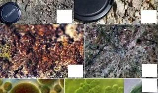 核废水会蒸发降雨吗