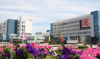 山东省专科分数线