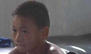 全红婵跳水完整版播放