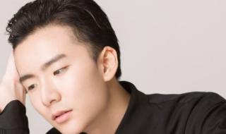 张艺谋资料 最佳导演张艺谋