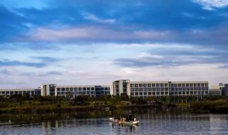 上海海事大学分数线