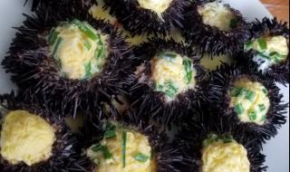 海胆蒸蛋是道什么菜 海胆蒸蛋是道什么菜