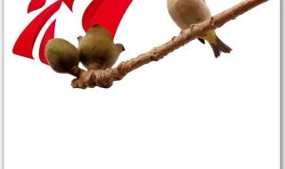 广东电视台南方卫视 广东电视台南方卫视