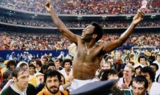 巴西队历届世界杯成绩 巴西世界杯战绩巴西历届世界杯战绩如何